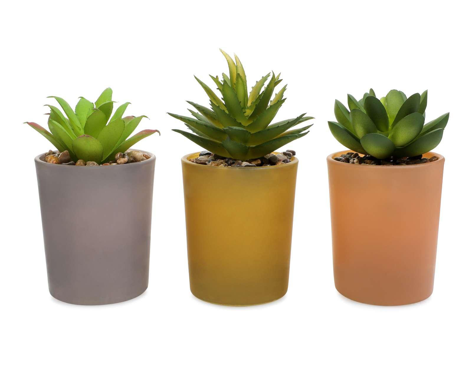 Planta Artificial Suculentas ABC 3 Piezas