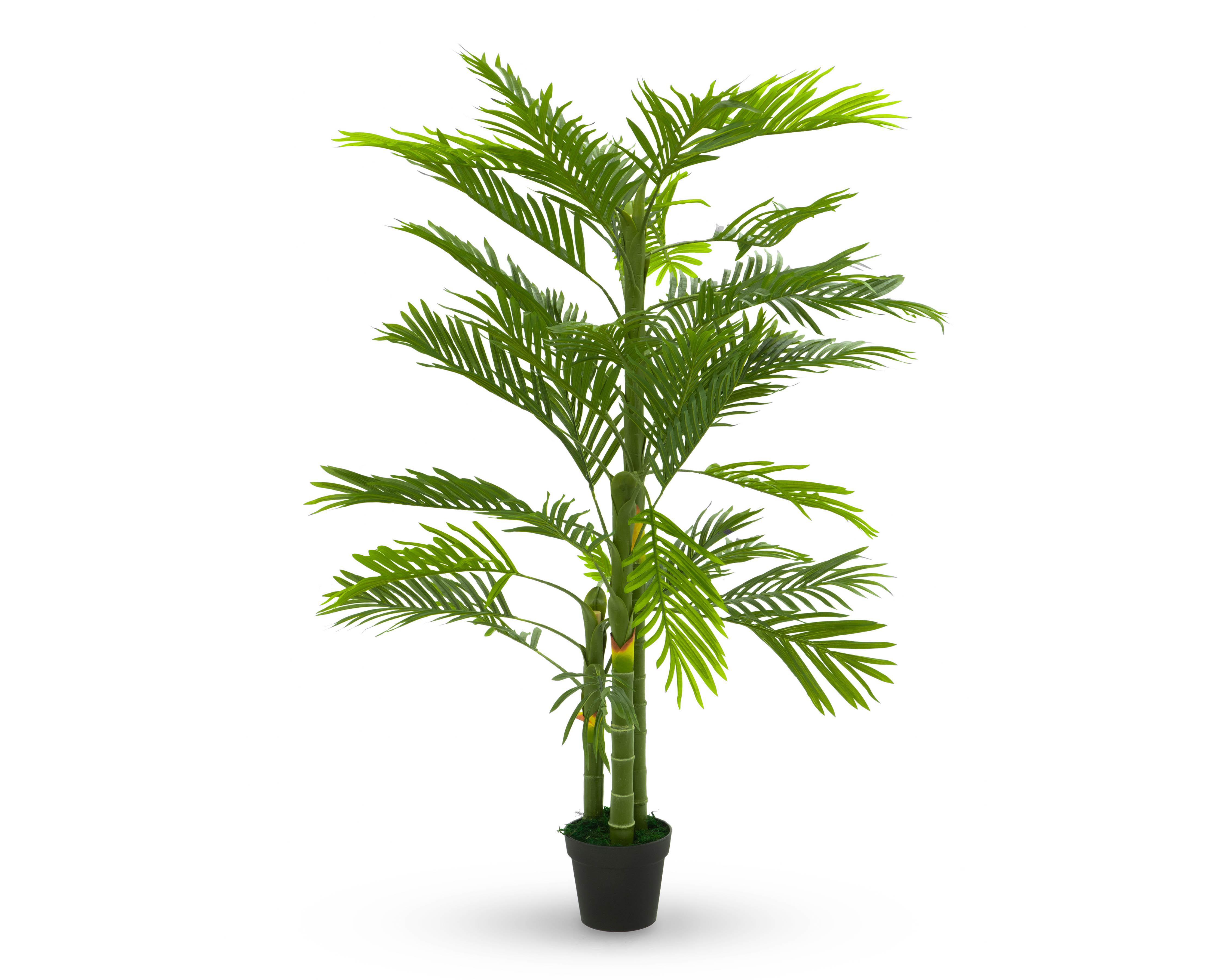 Palmera Artificial Starhaus 180 cm