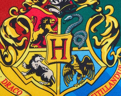Foto 4 | Almohada Providencia Harry Potter 70 x 50 cm