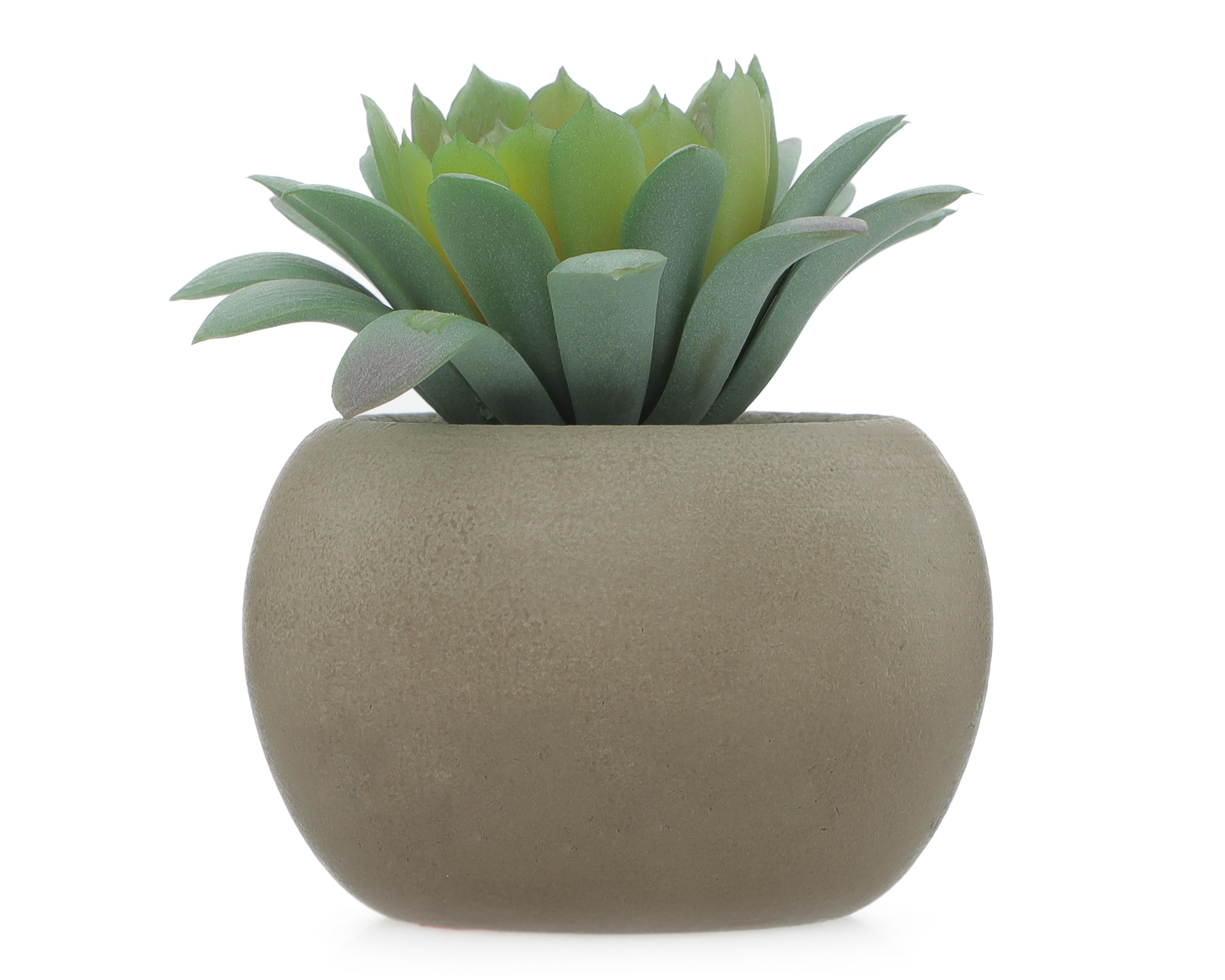 Planta Artificial con Maceta Starhaus 8.89 cm