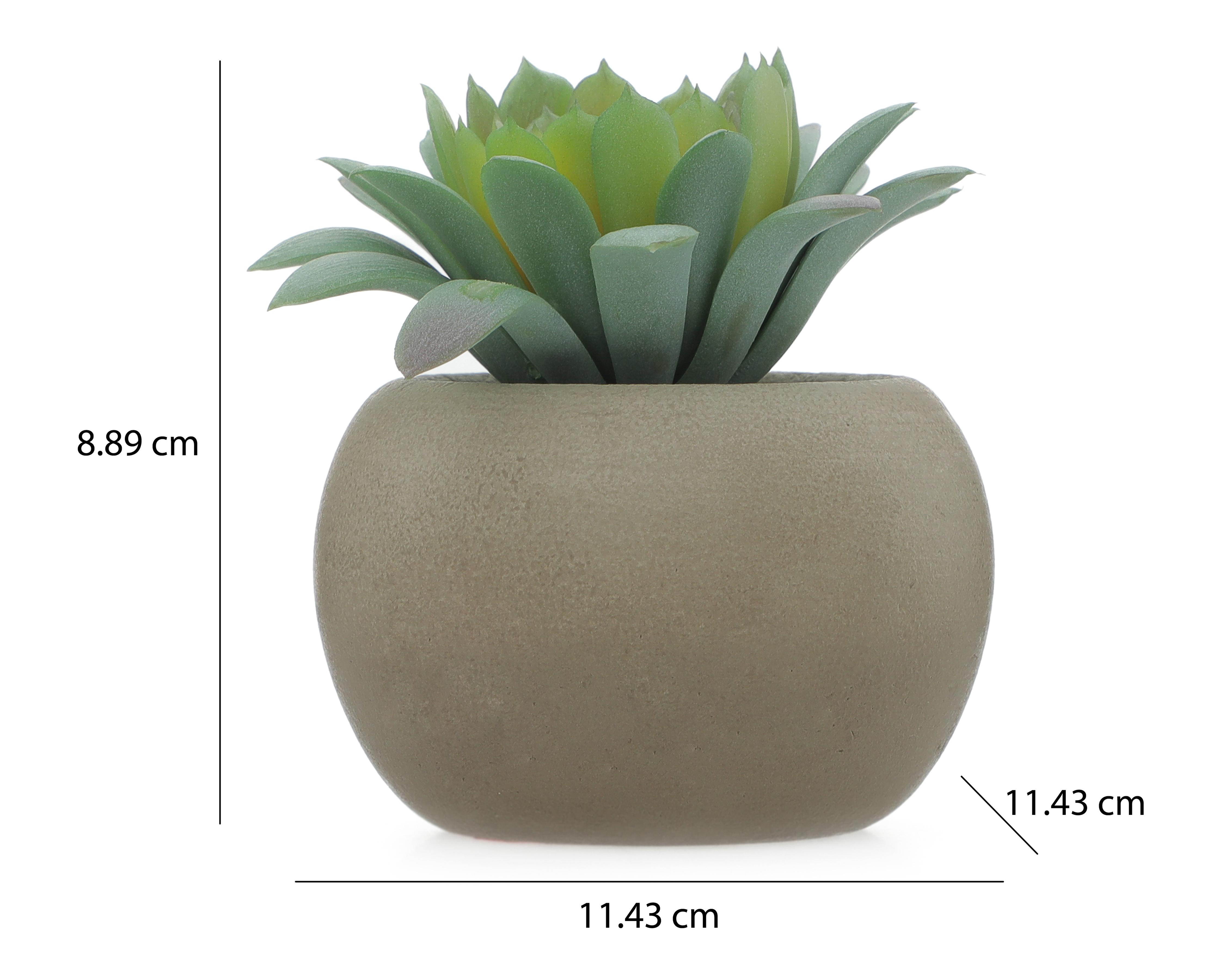 Foto 5 | Planta Artificial con Maceta Starhaus 8.89 cm