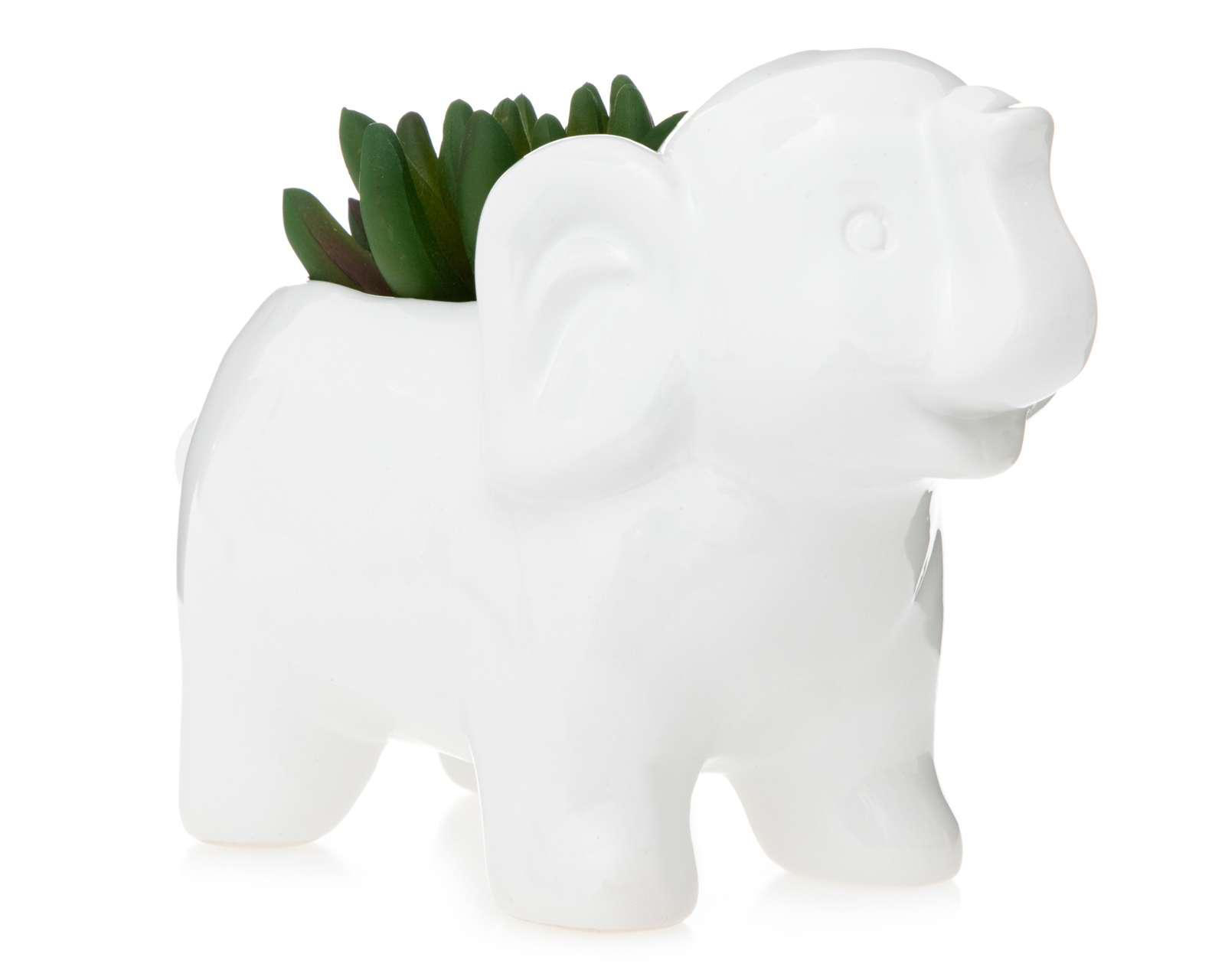 Planta Decorativa Ricky $119