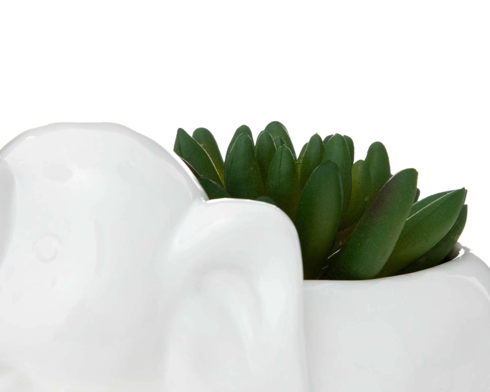 Foto 4 pulgar | Planta Decorativa Ricky