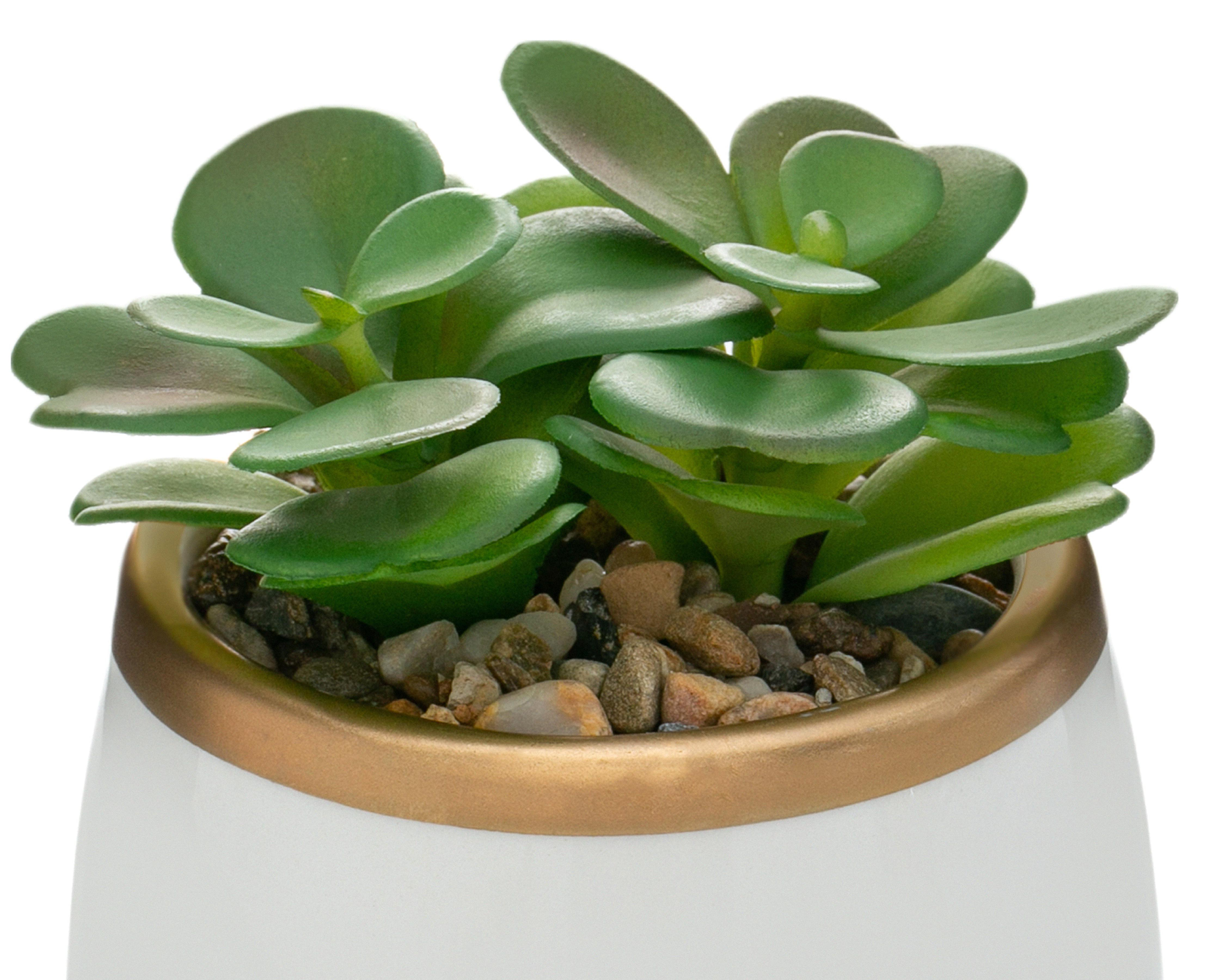 Foto 4 pulgar | Planta Artificial con Maceta Starhaus 14 cm