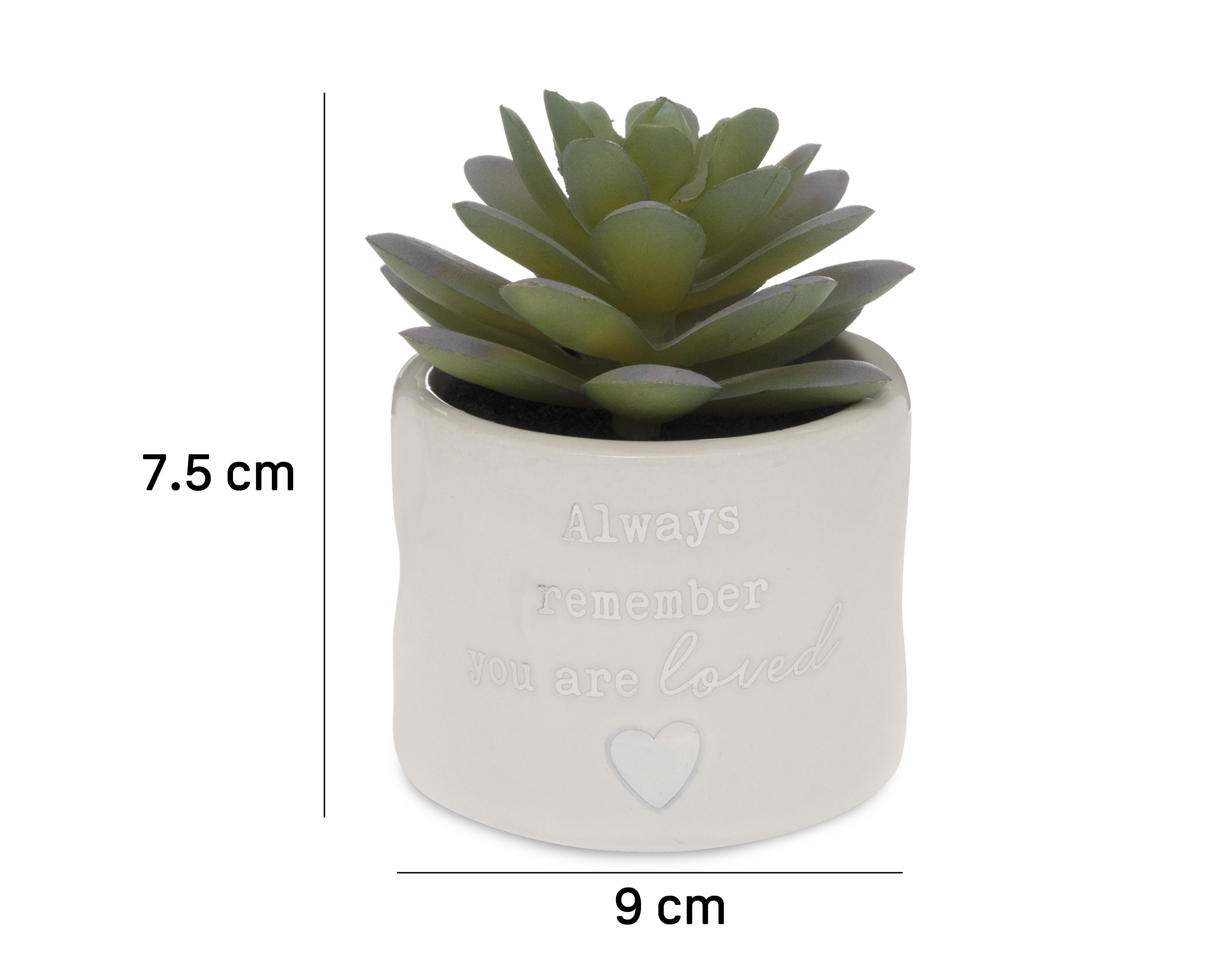 Foto 5 | Planta Artificial con Maceta Starhaus 9 cm