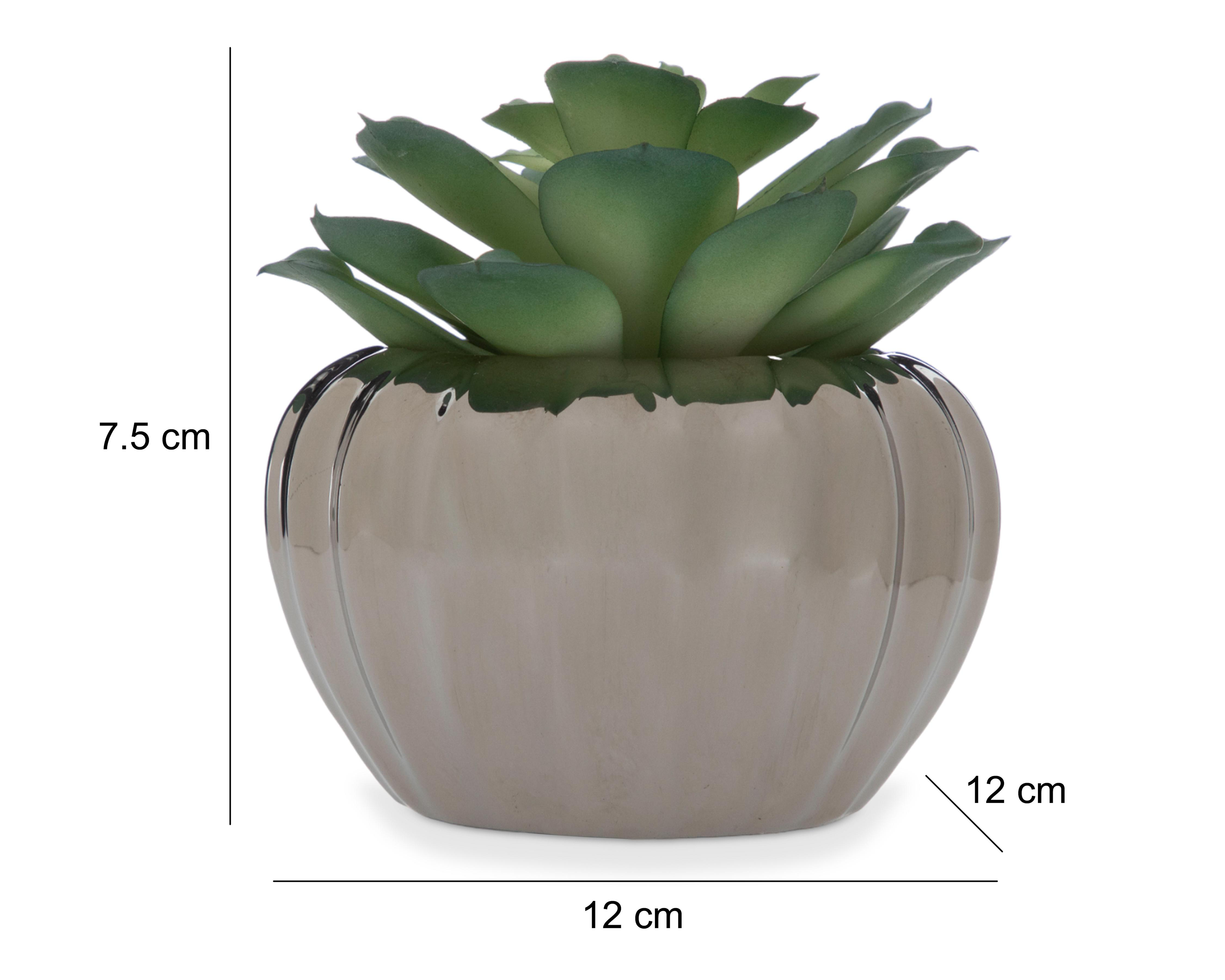 Foto 5 | Planta Artificial Starhaus 13 cm