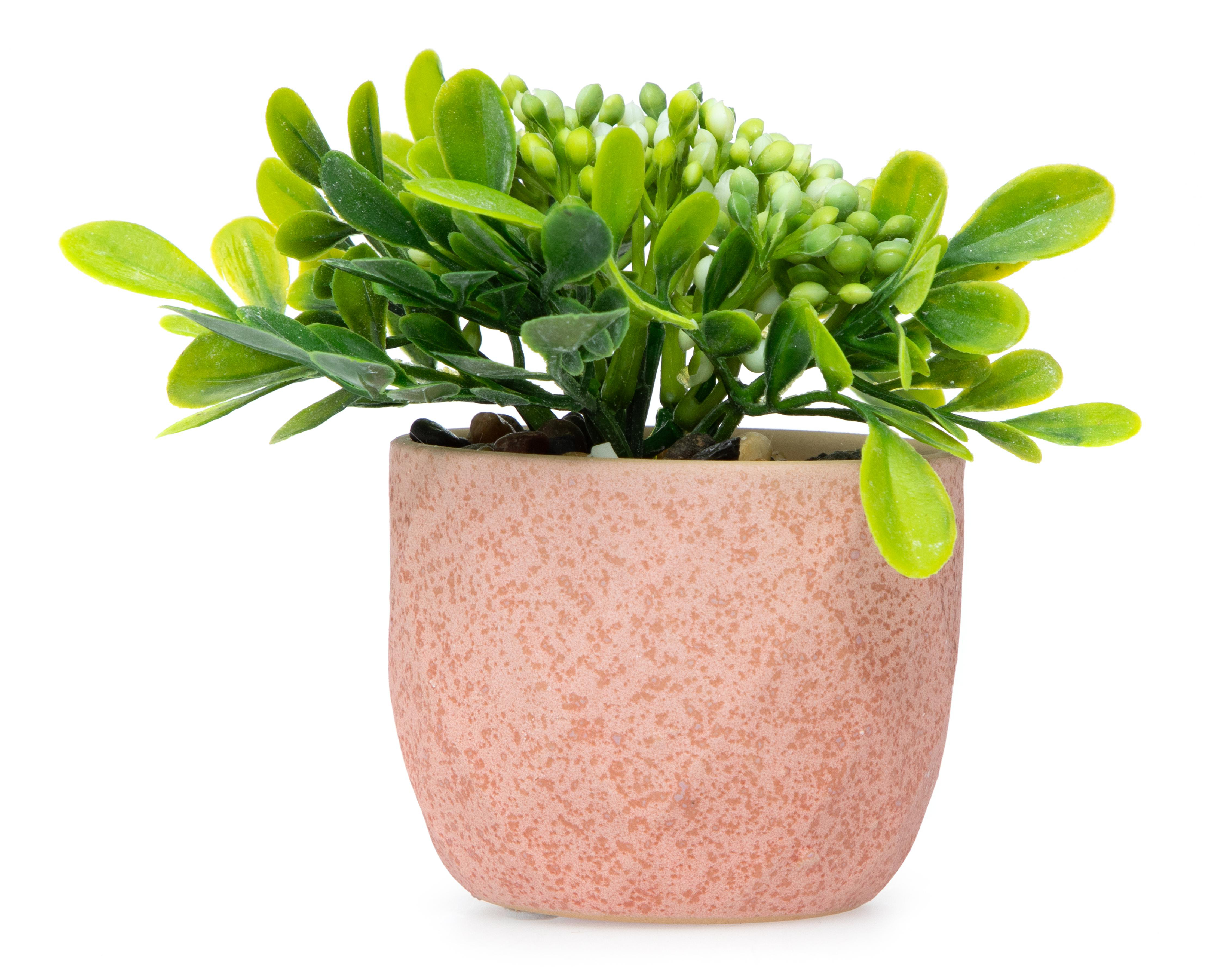 Planta Artificial con Maceta Starhaus 12 cm