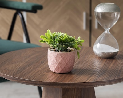 Foto 4 | Planta Artificial con Maceta Starhaus 12 cm