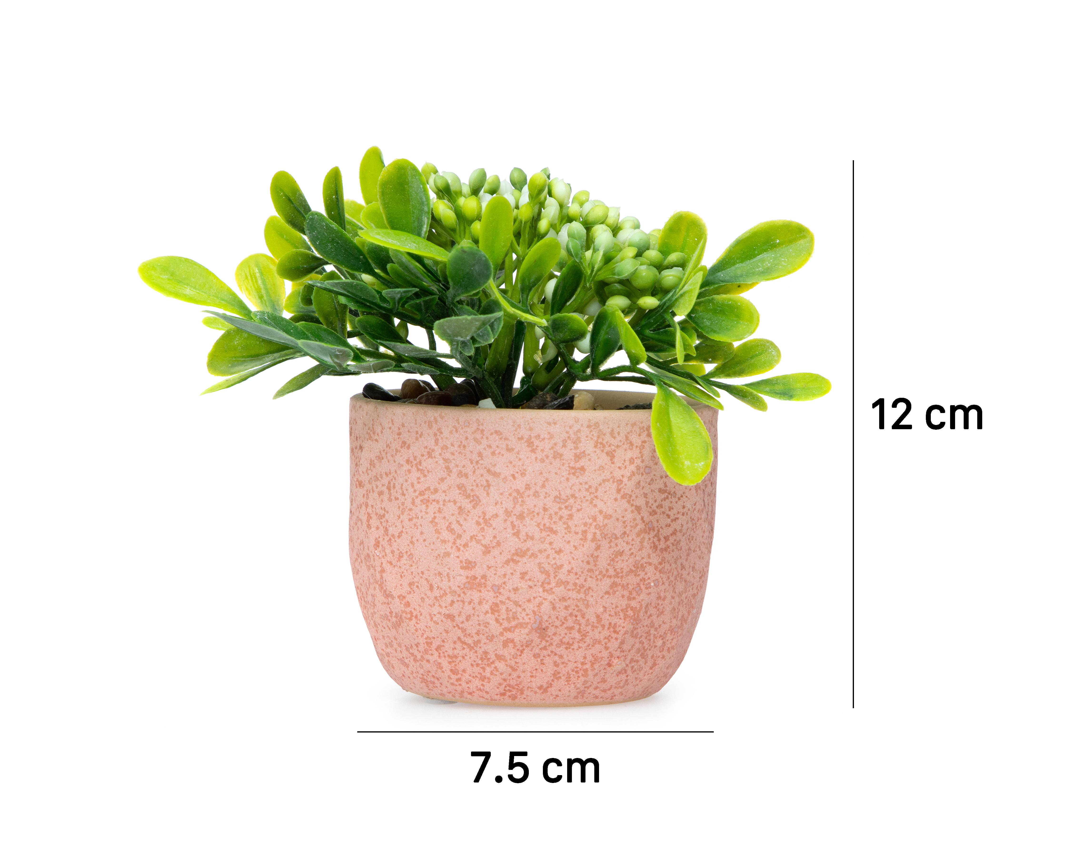 Foto 5 | Planta Artificial con Maceta Starhaus 12 cm