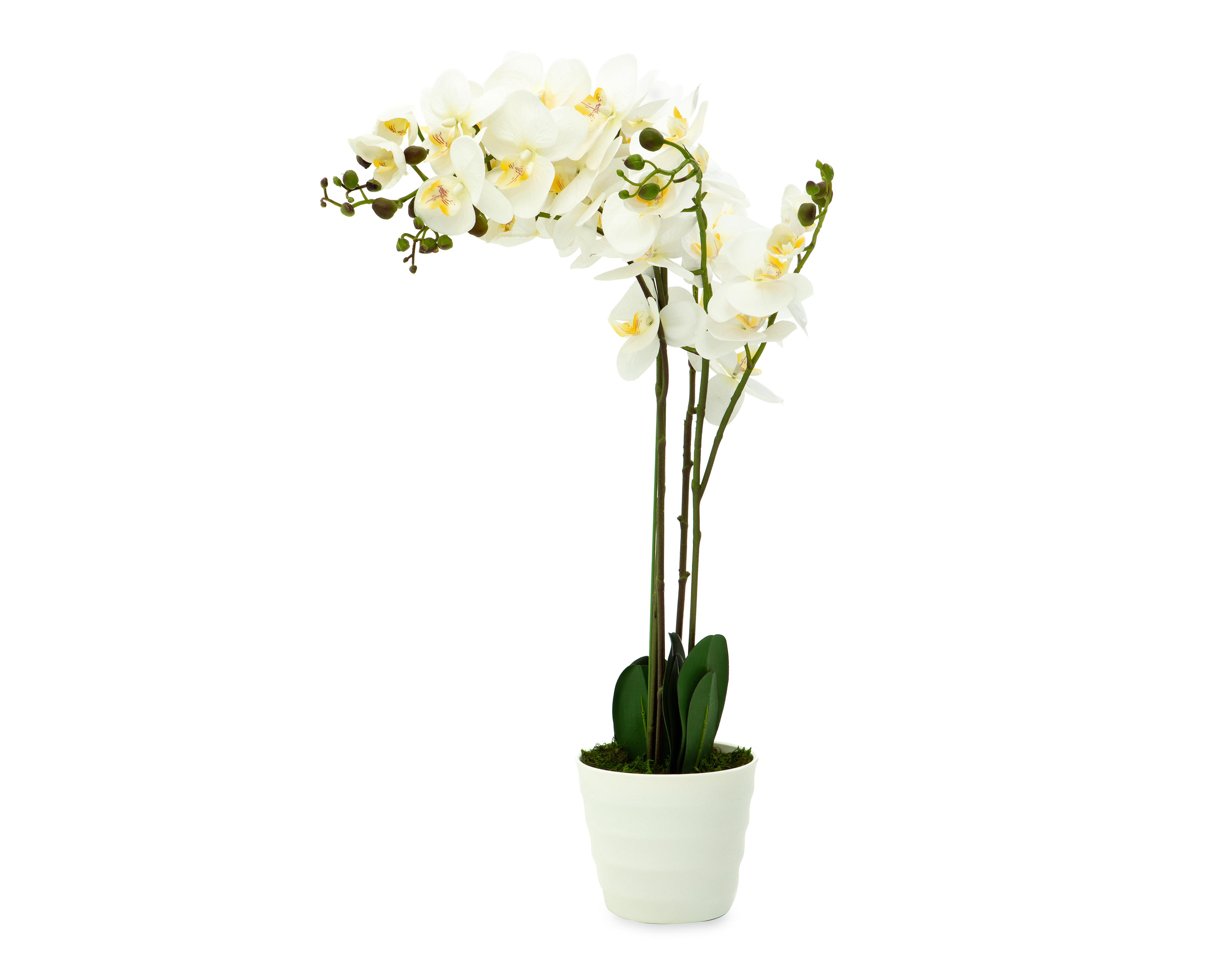 Planta Artificial con Maceta Starhaus 75 cm $599