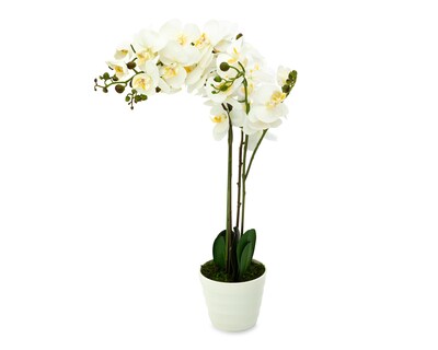 Foto 2 | Planta Artificial con Maceta Starhaus 75 cm