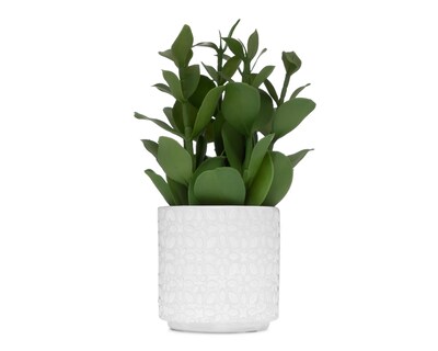 Foto 1 | Planta Artificial con Maceta Starhaus 28 cm