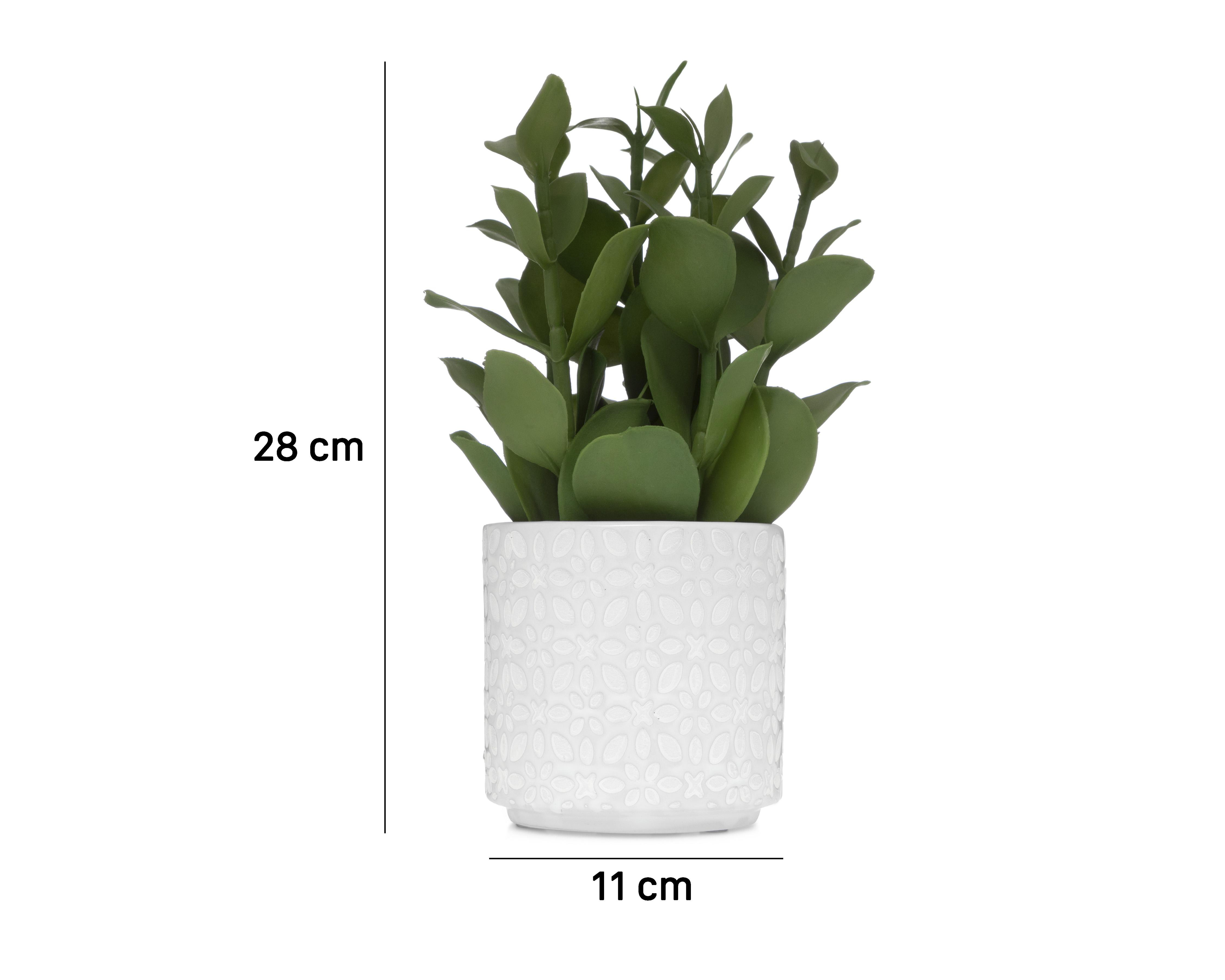Foto 6 pulgar | Planta Artificial con Maceta Starhaus 28 cm