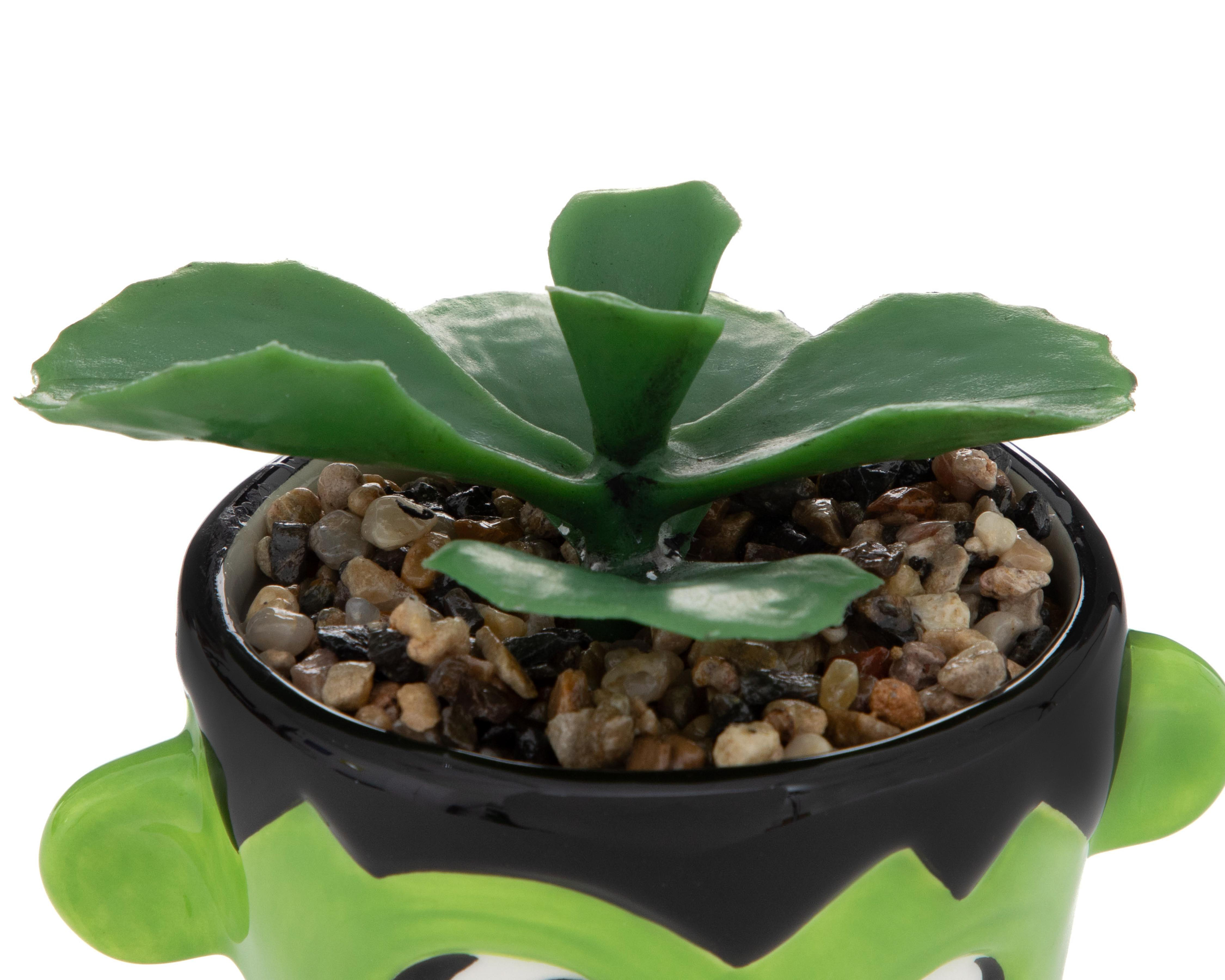 Foto 4 pulgar | Planta Artificial con Maceta Starhaus 11 cm