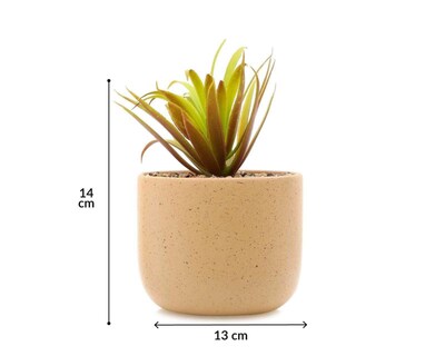 Foto 4 | Planta Artificial con Maceta Starhaus 16 cm