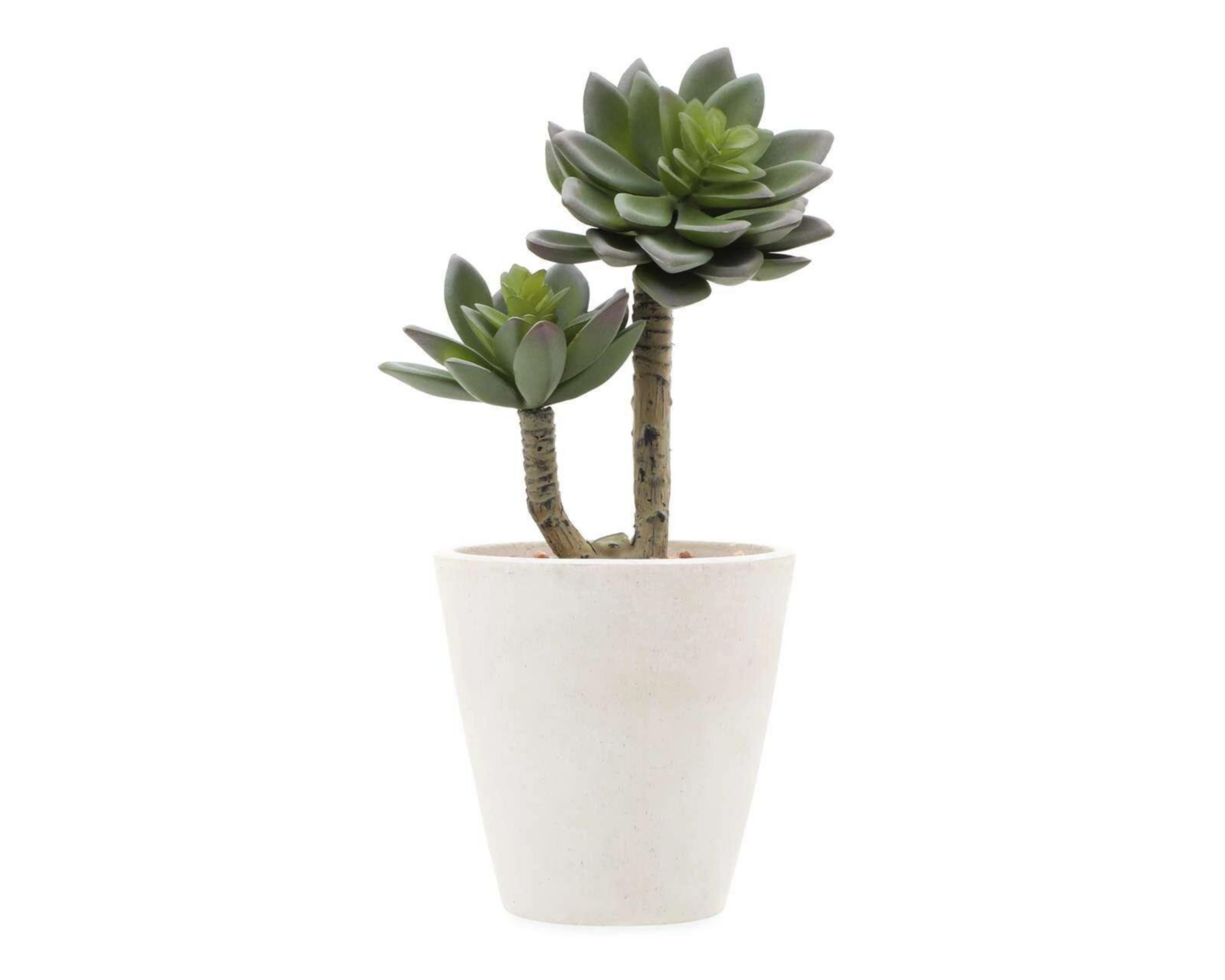 Planta Artificial con Maceta Starhaus