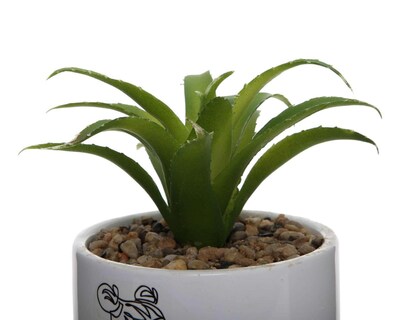 Foto 3 | Planta Artificial con Maceta Starhaus 10.60 cm