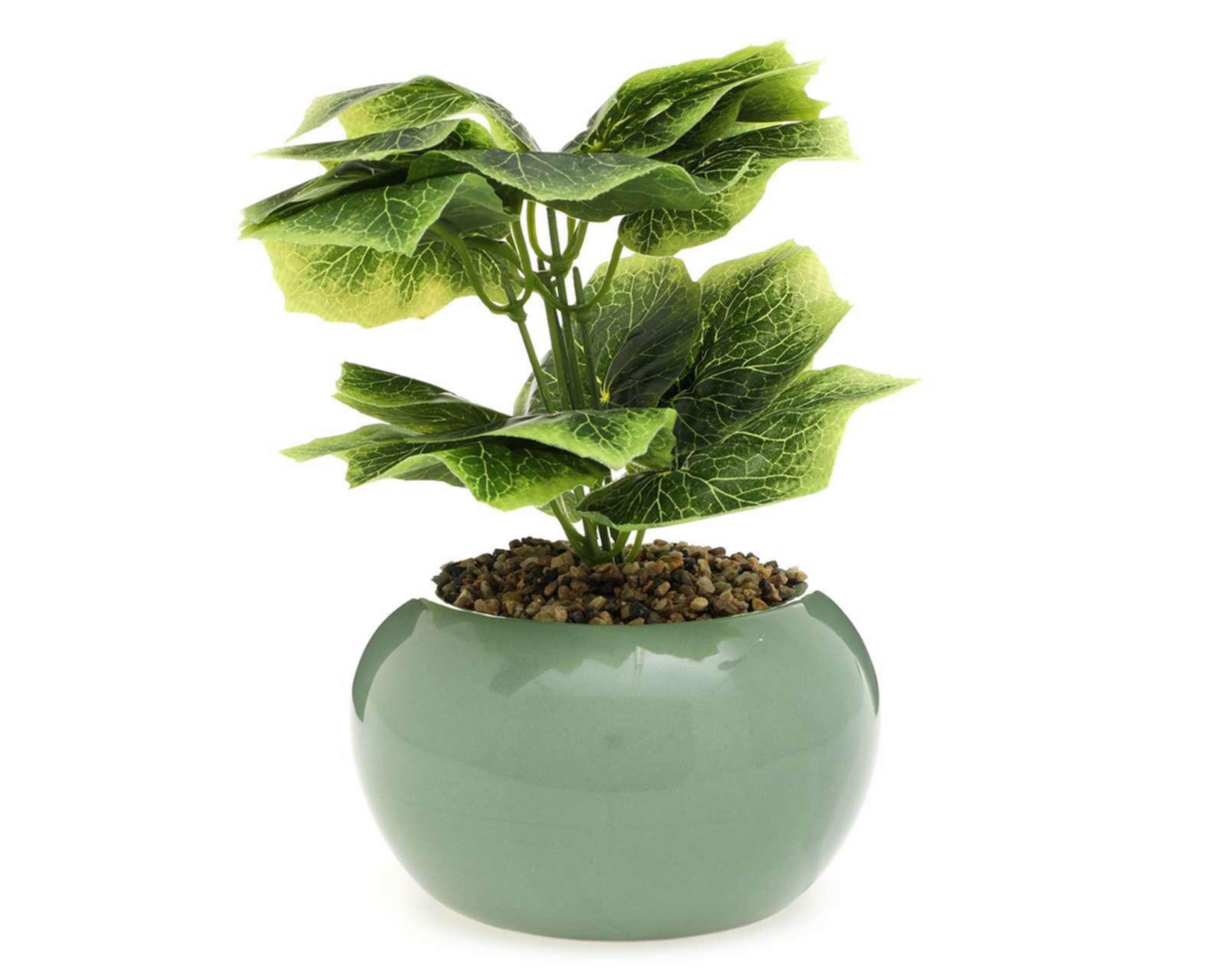 Foto 2 pulgar | Planta Decorativa con Maceta Starhaus