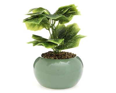 Foto 1 | Planta Decorativa con Maceta Starhaus