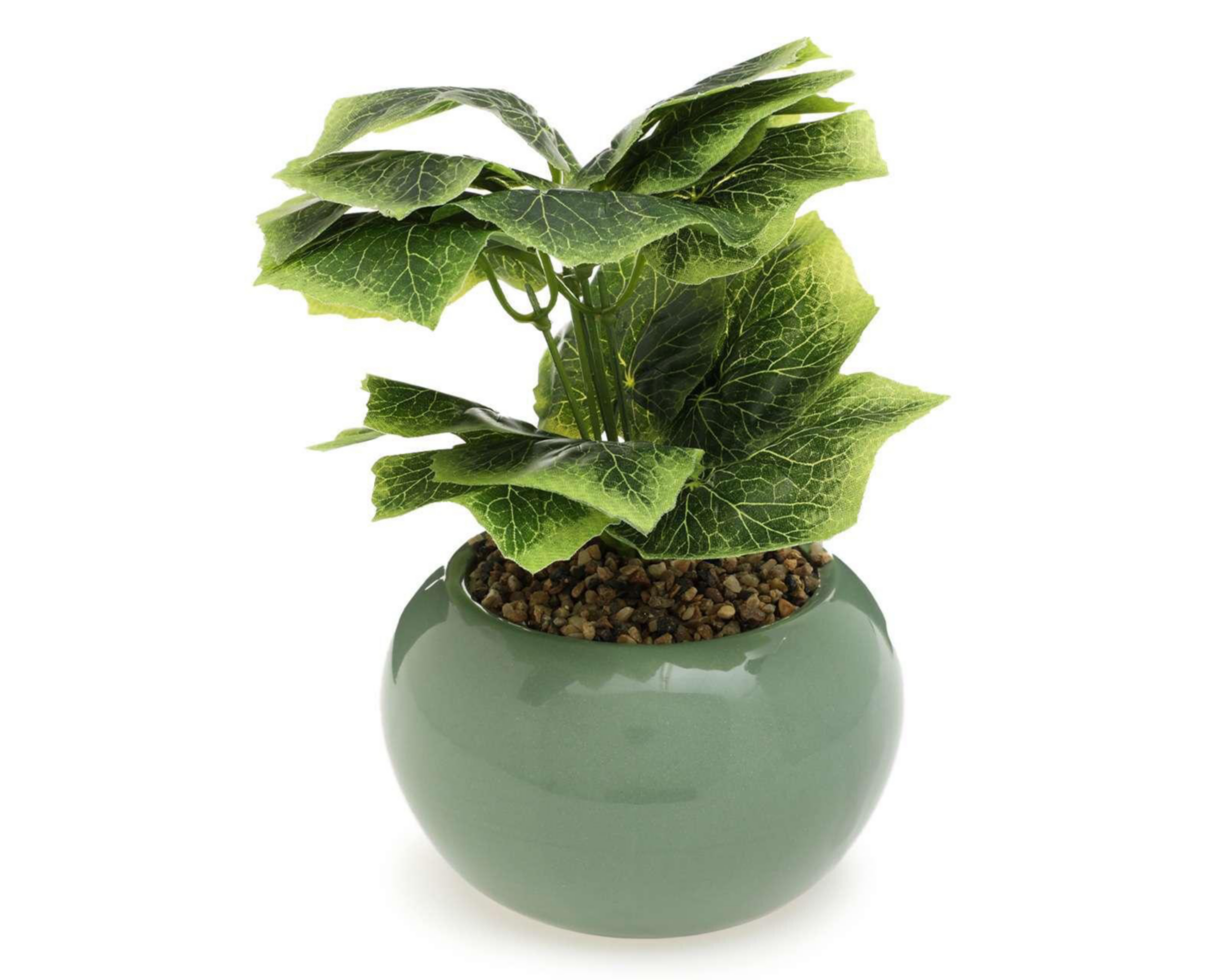 Foto 3 pulgar | Planta Decorativa con Maceta Starhaus