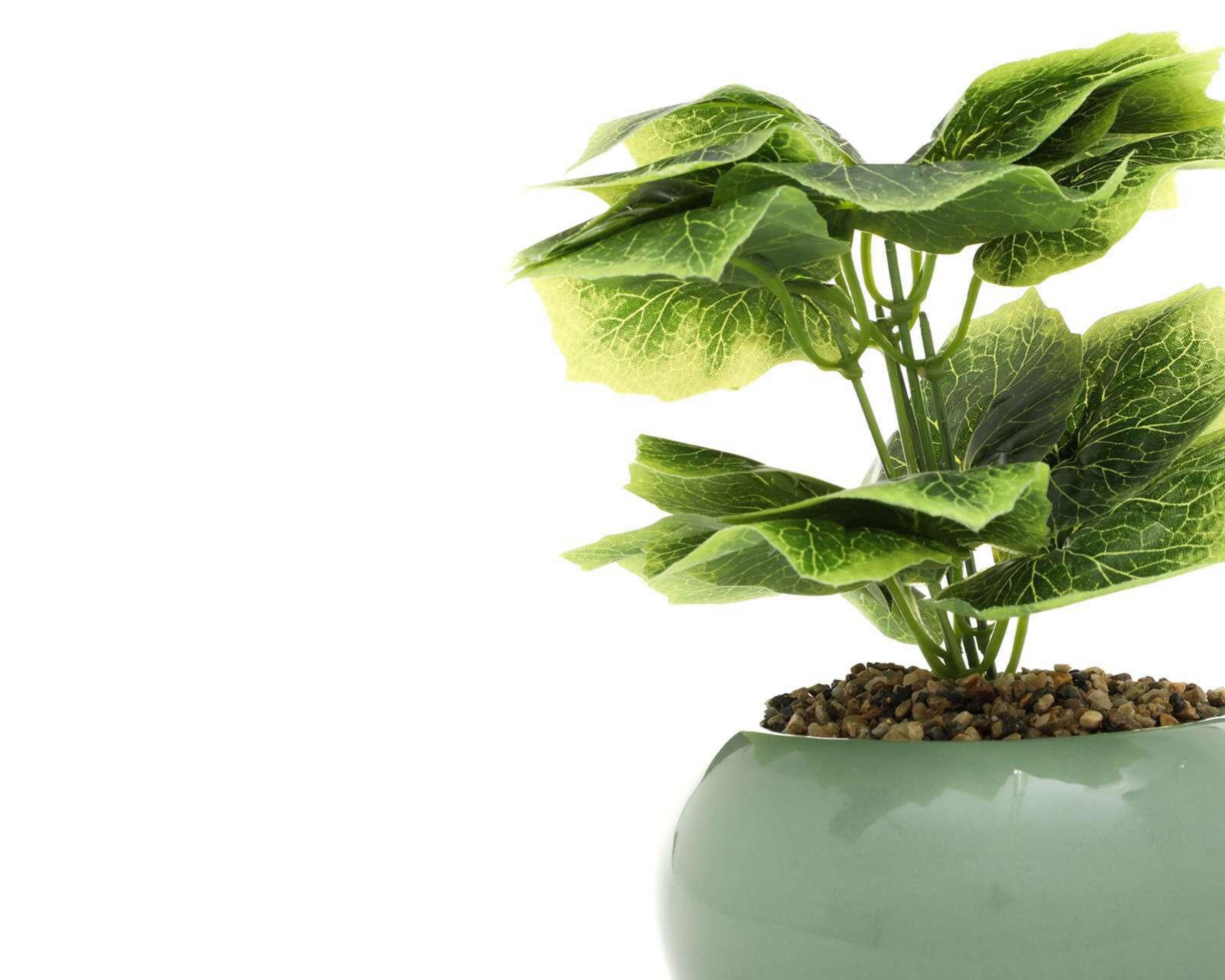 Foto 4 pulgar | Planta Decorativa con Maceta Starhaus