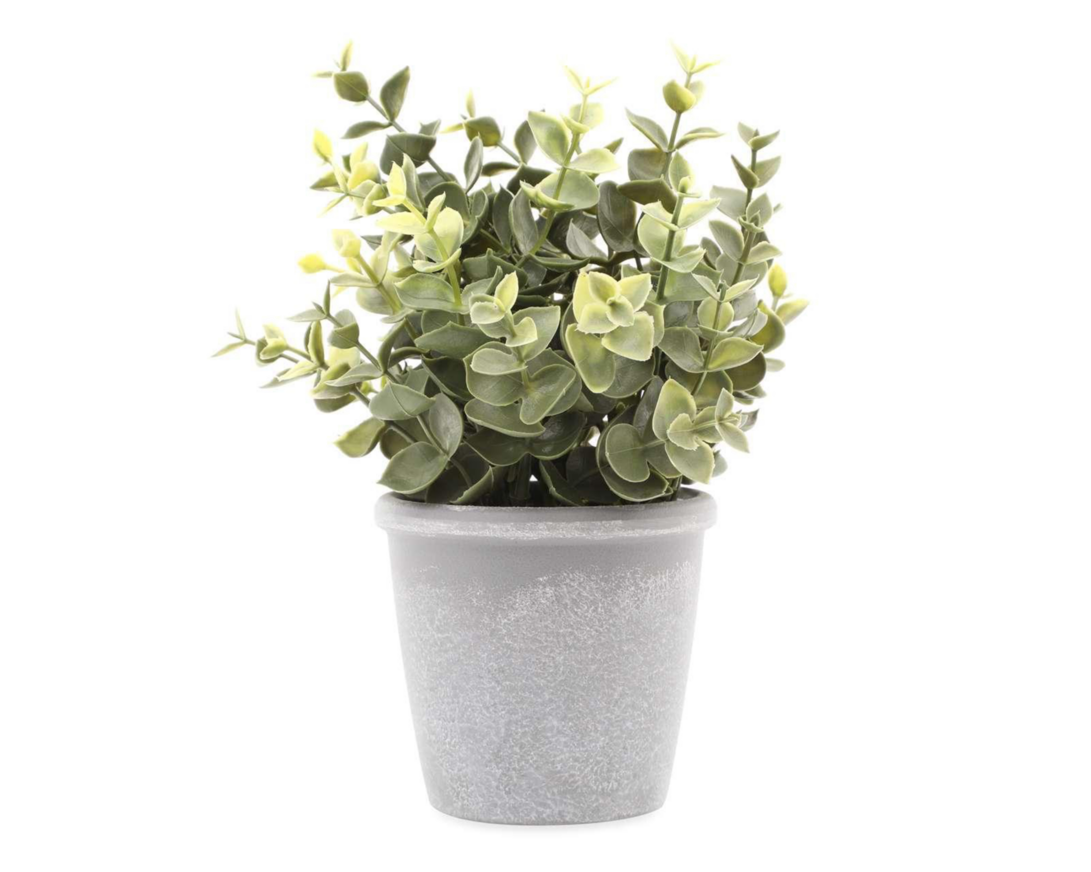 Planta Artificial con Maceta Starhaus