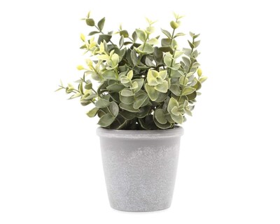 Foto 1 | Planta Artificial con Maceta Starhaus