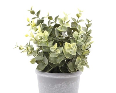 Foto 2 | Planta Artificial con Maceta Starhaus