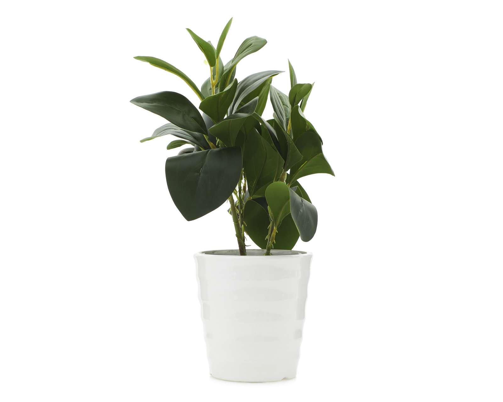 Foto 1 | Planta Artificial con Maceta Starhaus