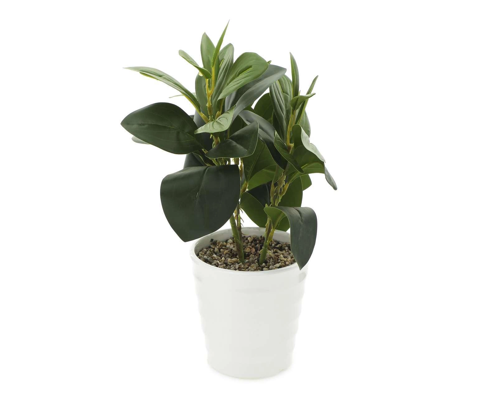 Foto 3 pulgar | Planta Artificial con Maceta Starhaus