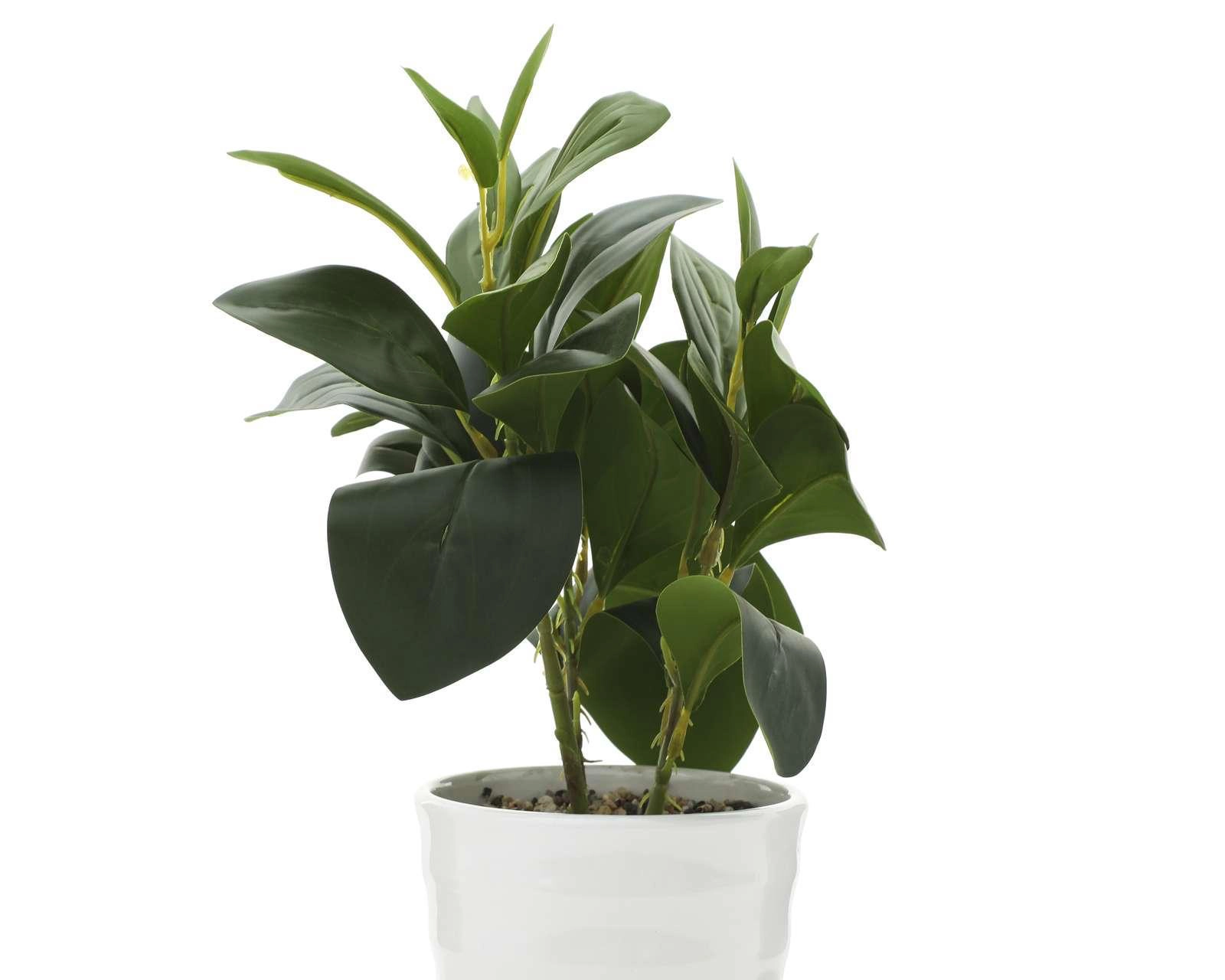 Foto 3 | Planta Artificial con Maceta Starhaus