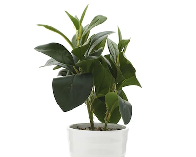 Foto 3 | Planta Artificial con Maceta Starhaus