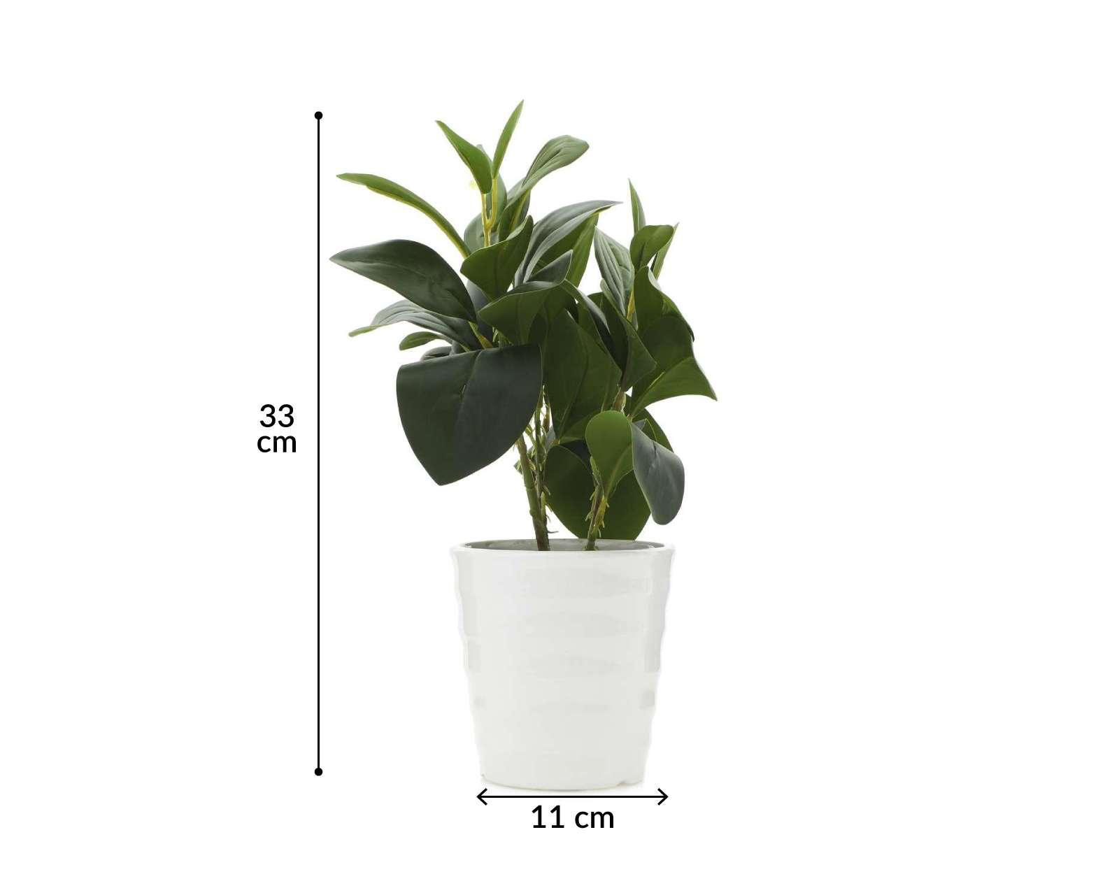 Foto 5 pulgar | Planta Artificial con Maceta Starhaus