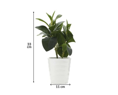 Foto 4 | Planta Artificial con Maceta Starhaus