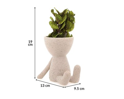 Foto 4 | Planta Artificial con Maceta Starhaus 17.78 cm