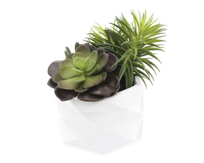 Foto 2 | Planta Artificial con Maceta Starhaus 17 cm