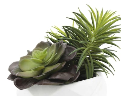 Foto 3 | Planta Artificial con Maceta Starhaus 17 cm