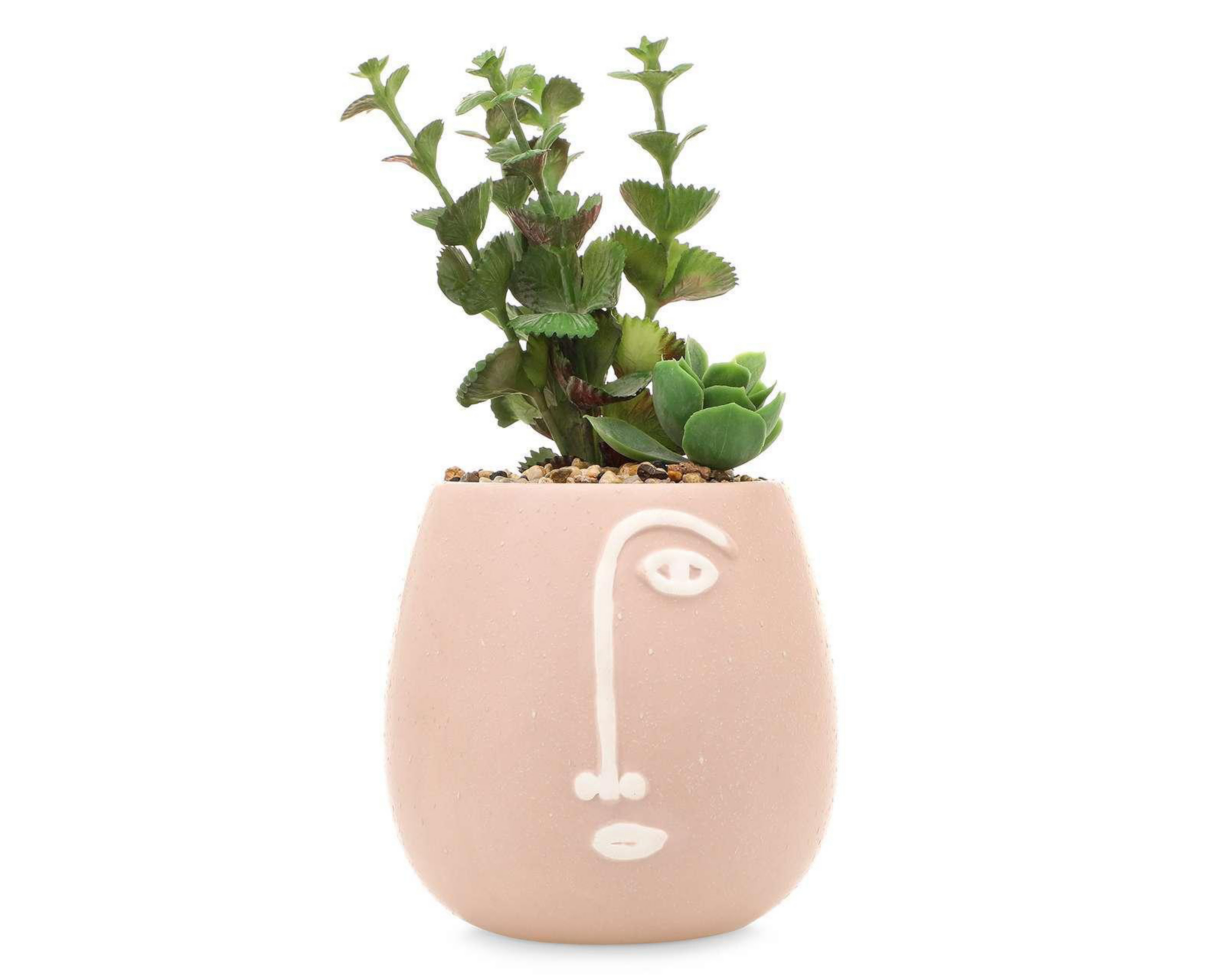 Planta Artificial con Maceta Starhaus 8.20 cm $99