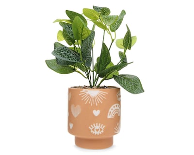 Foto 1 | Planta Artificial con Maceta Starhaus