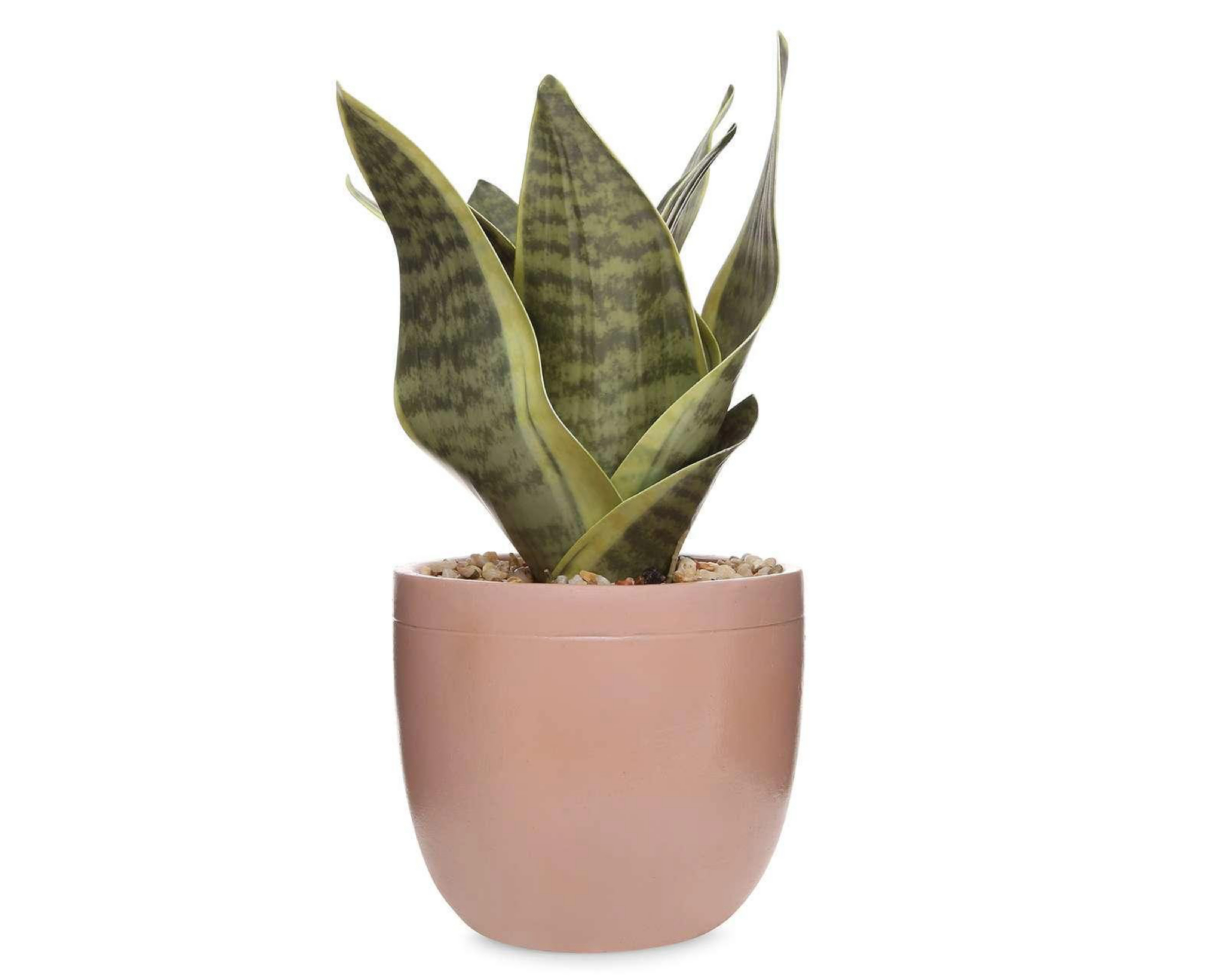 Foto 1 | Planta Artificial con Maceta Starhaus