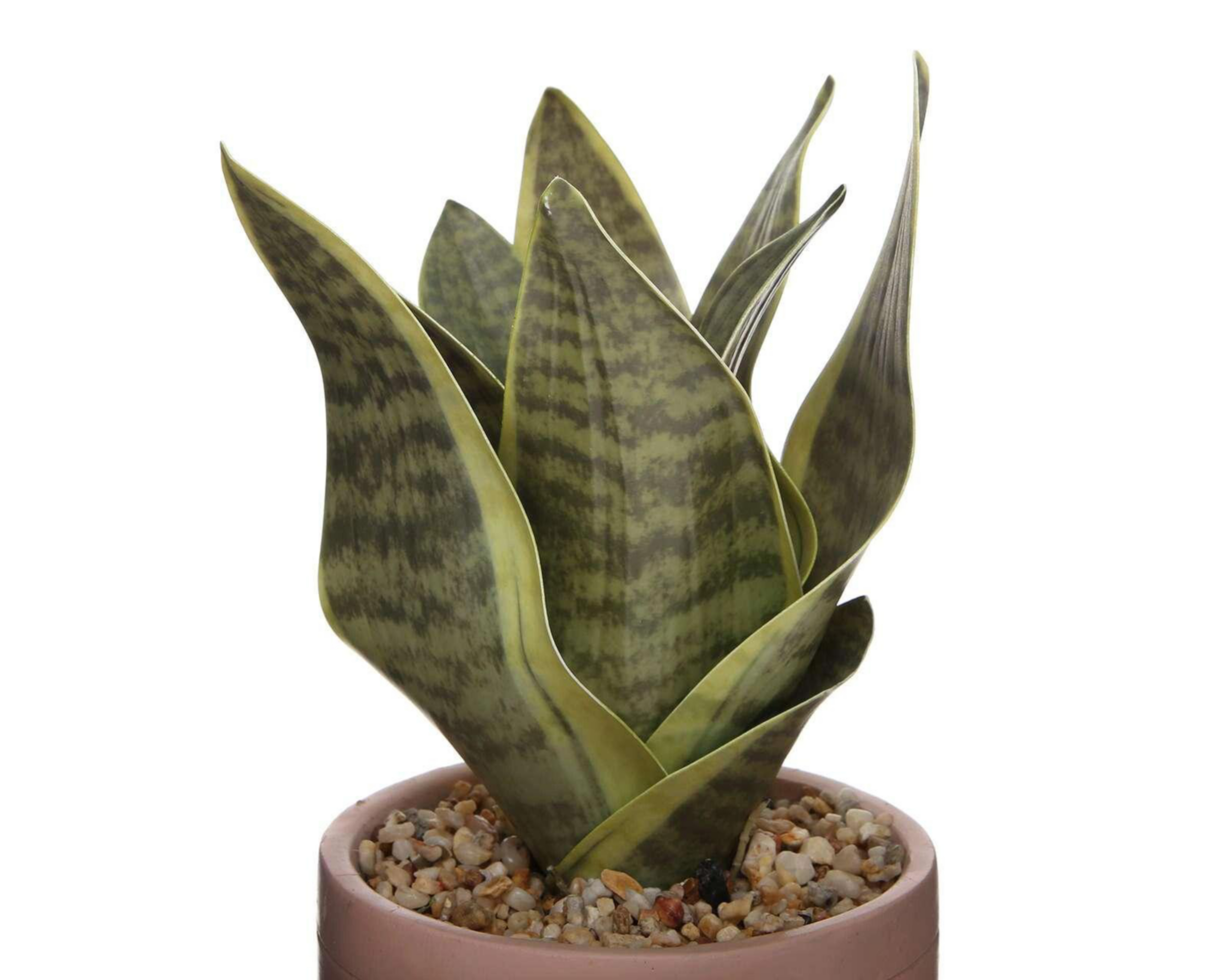 Foto 4 pulgar | Planta Artificial con Maceta Starhaus