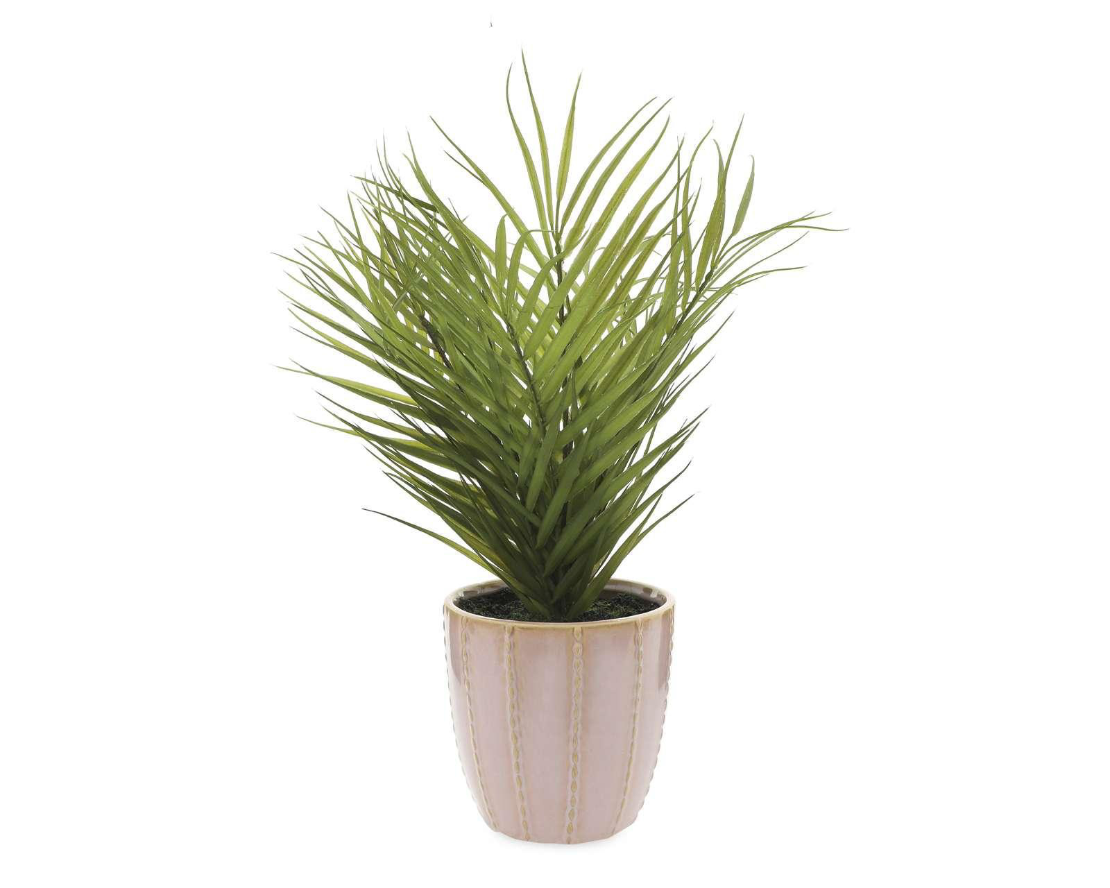 Foto 1 | Planta Artificial con Maceta Starhaus