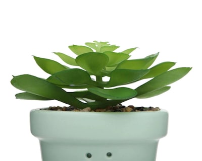 Foto 3 | Planta Artificial con Maceta Starhaus 13 cm