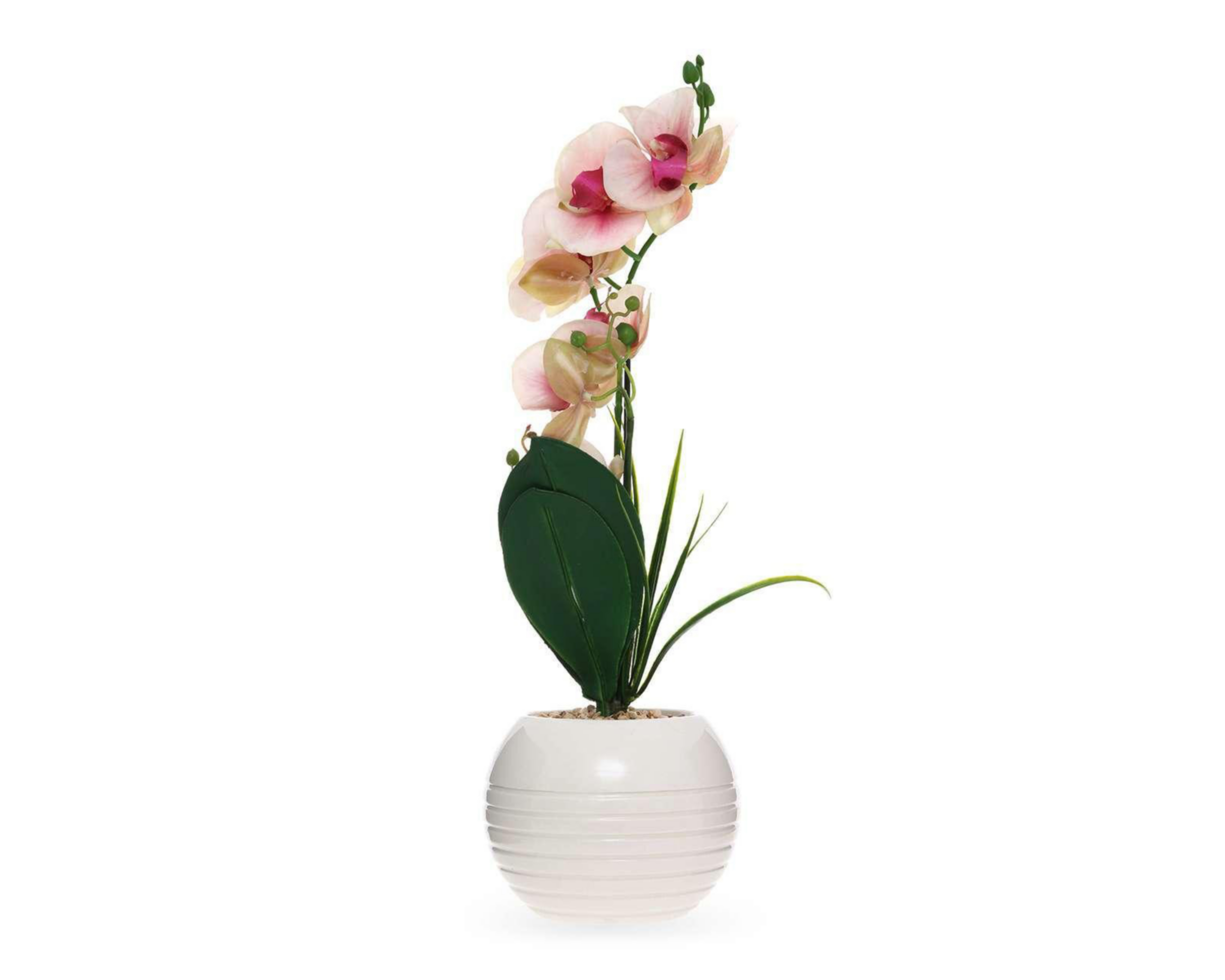 Planta Artificial con Maceta Starhaus $259