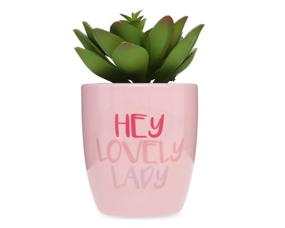 Foto 1 | Planta Artificial con Maceta Starhaus