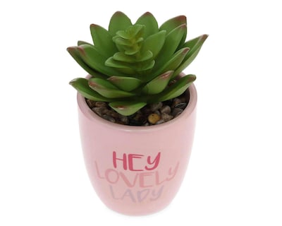Foto 2 | Planta Artificial con Maceta Starhaus