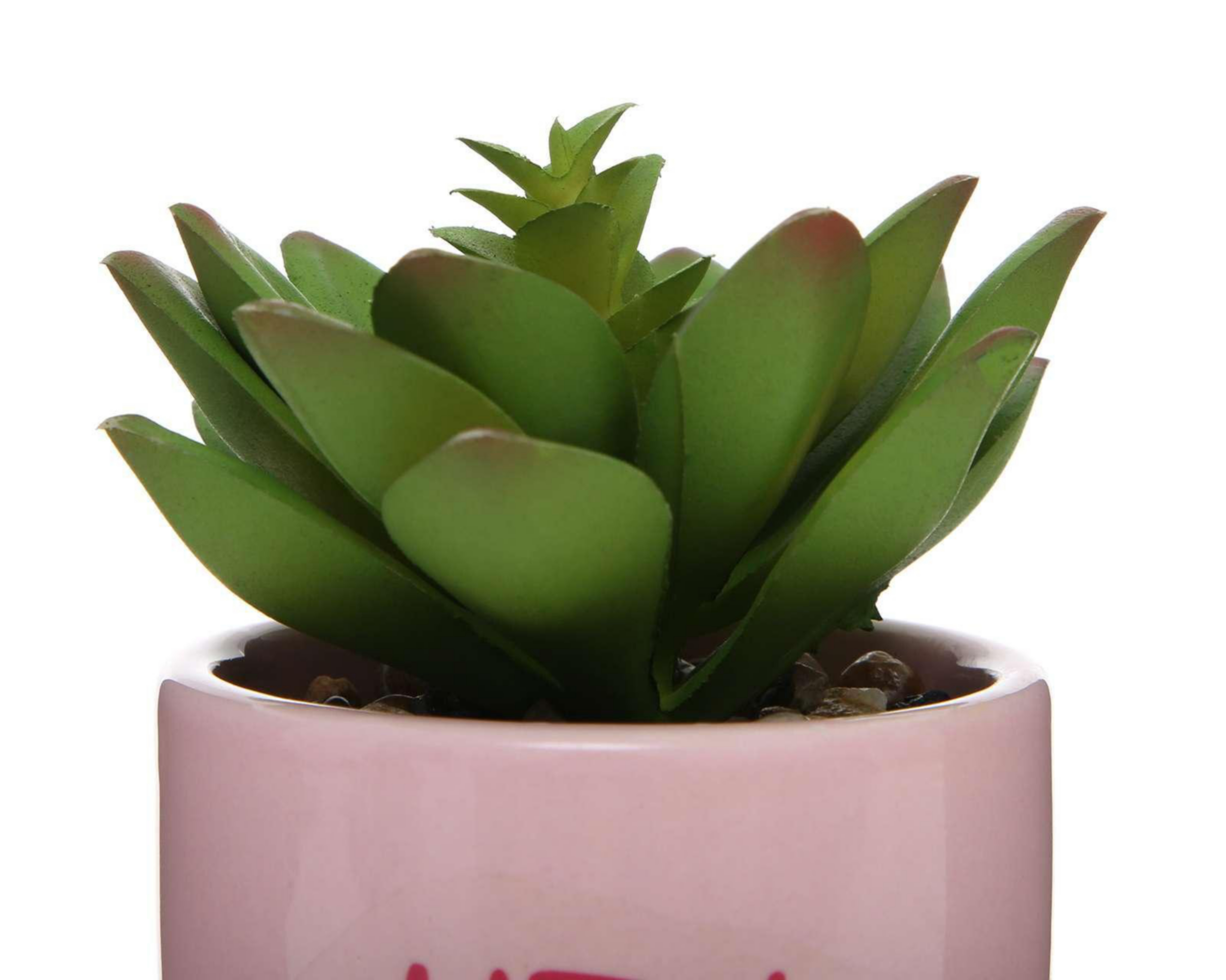 Foto 4 pulgar | Planta Artificial con Maceta Starhaus