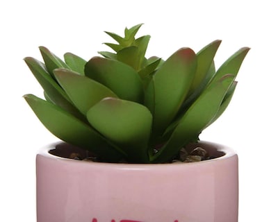 Foto 3 | Planta Artificial con Maceta Starhaus
