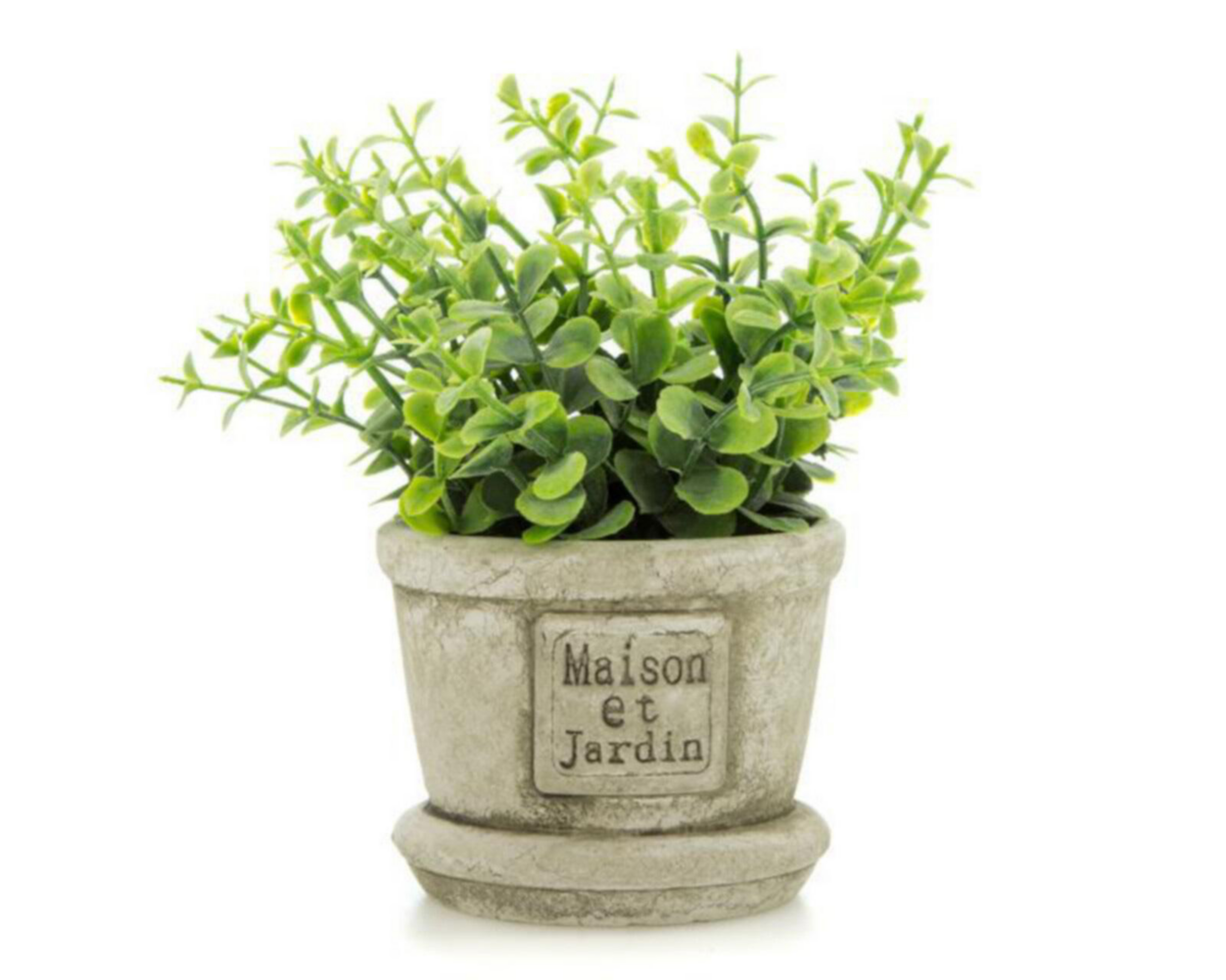 Foto 2 pulgar | Planta Artificial Crassula de 14 cm