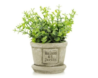 Foto 1 | Planta Artificial Crassula de 14 cm
